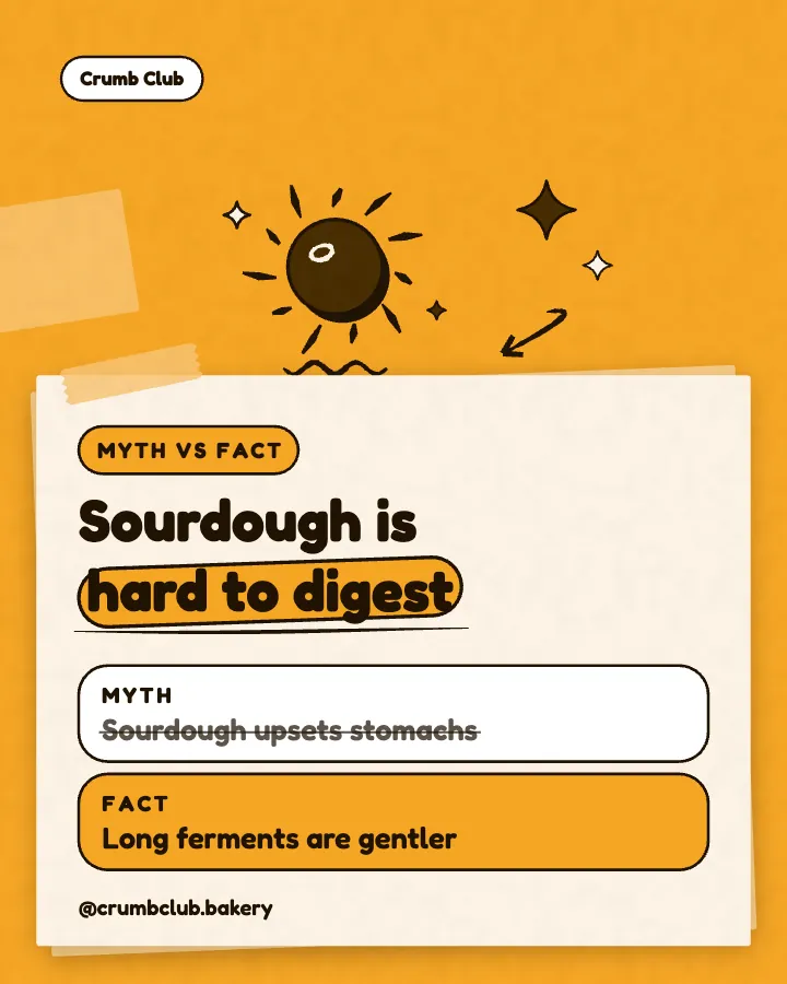 Crumb Club post: "Sourdough is hard to digest" (myth vs fact, Playful style)
